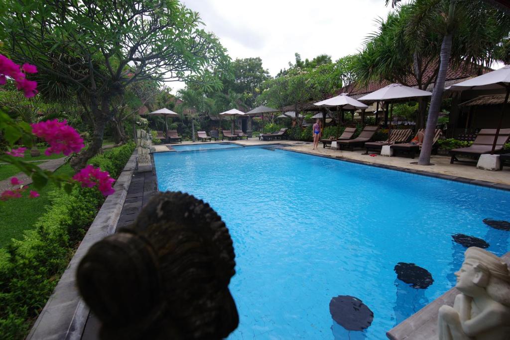 a dog swimming in a pool next to a swimming pool at Tirta Sari Bungalow in Pemuteran