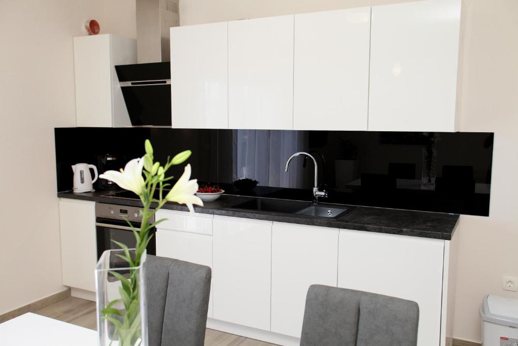 Kuchyňa alebo kuchynka v ubytovaní Apartments Villa Aquamarie