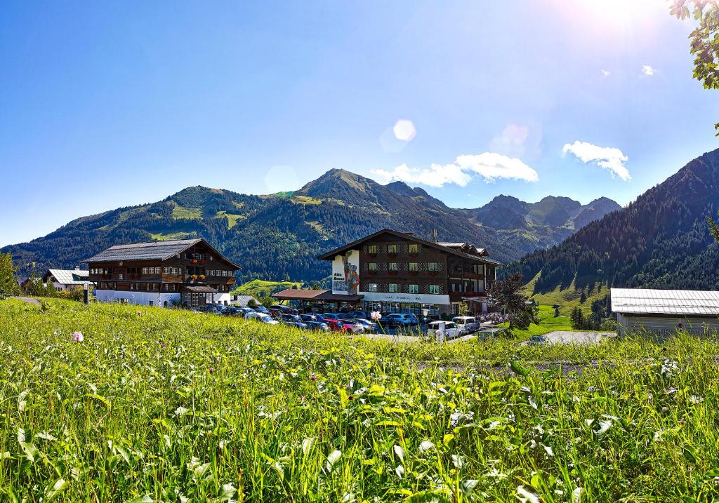 a field of grass with buildings and mountains in the background at Hotel Alte Krone in Mittelberg