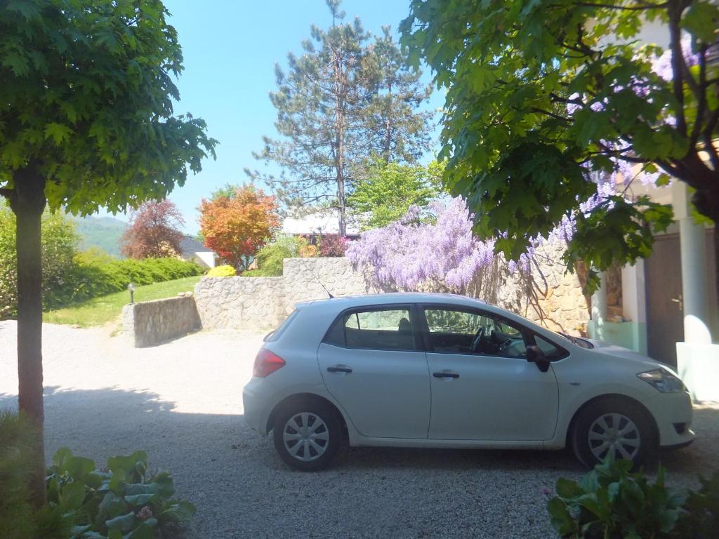 Zahrada ubytování Apartments Jaka