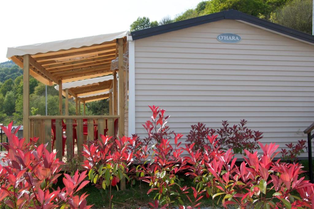 A garden outside Camping Igara de San Sebastian