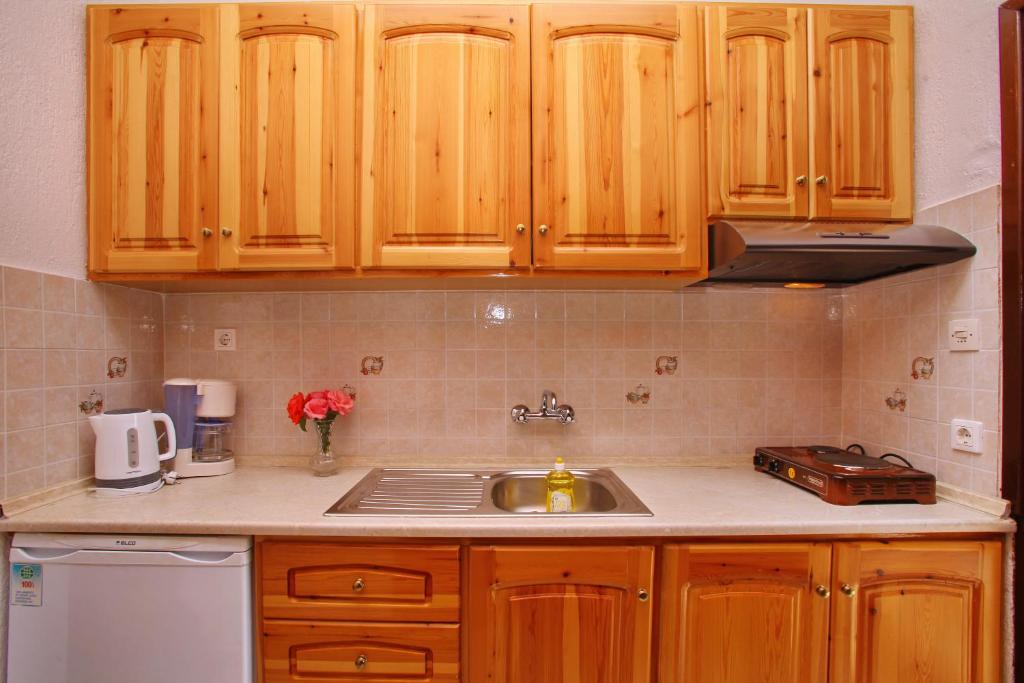 a kitchen with wooden cabinets and a sink at Maria Studios in Neo Klima