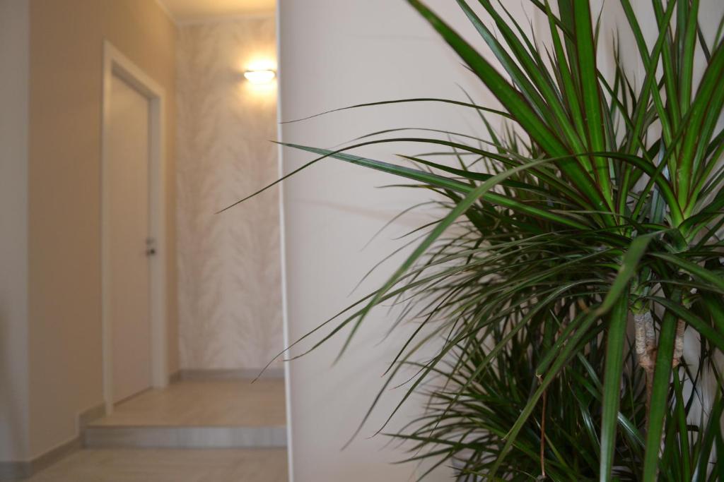 Fotografie z fotogalerie ubytování B&B Terra d'Oriente v destinaci Veglie