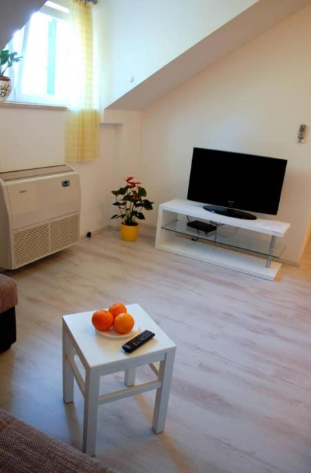 Een TV en/of entertainmentcenter bij Villa Violić
