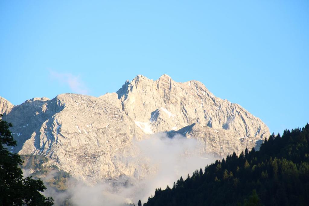 Alpen - Apartments - 8