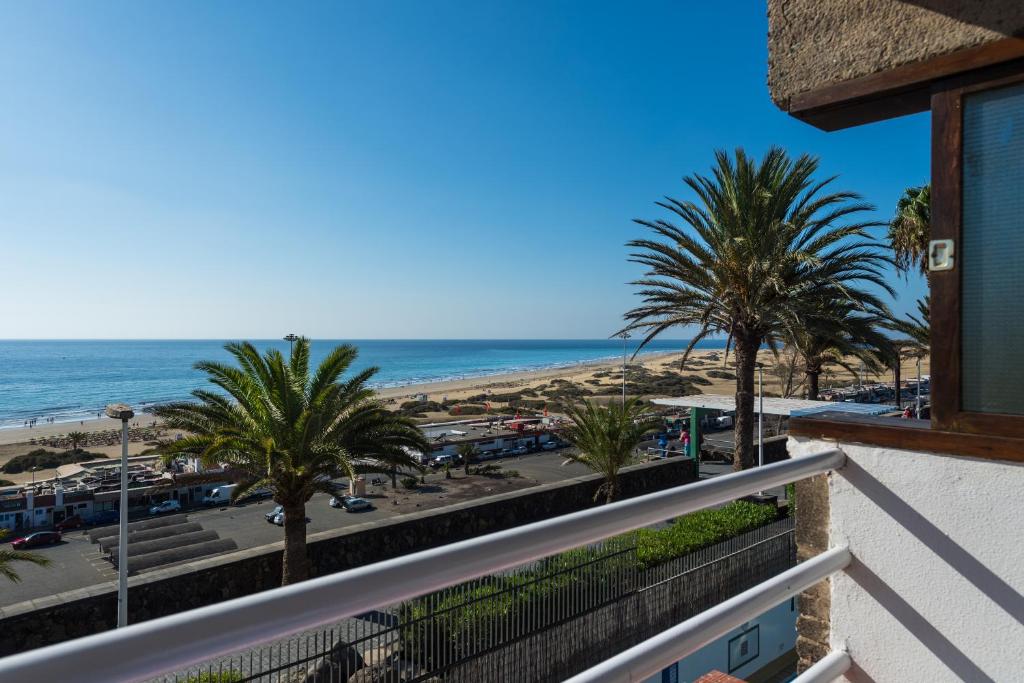 Apartamentos El Paseo - 18