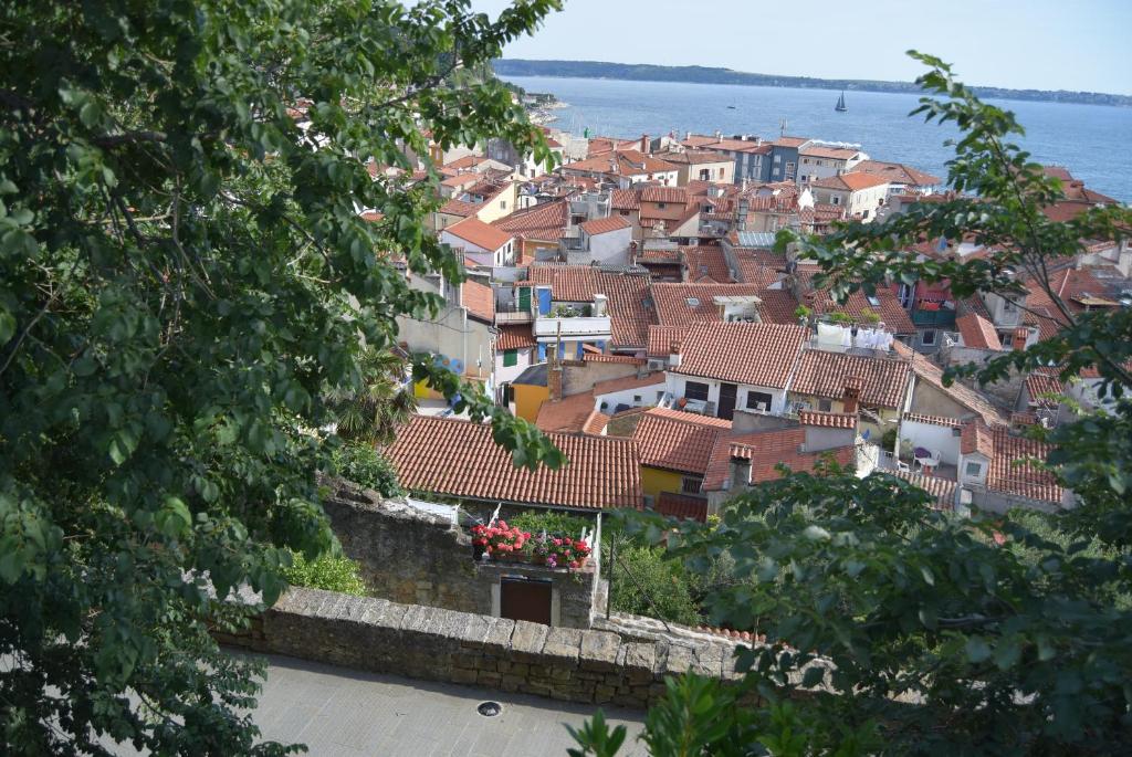 Příroda nedaleko hostelu