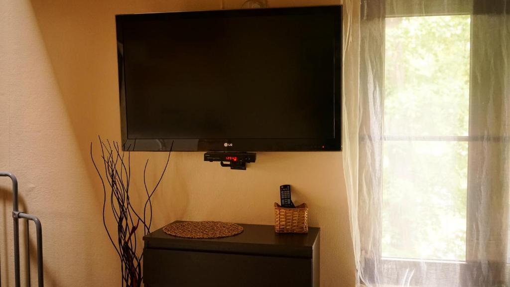 TV a/nebo společenská místnost v ubytování Apartament Antique