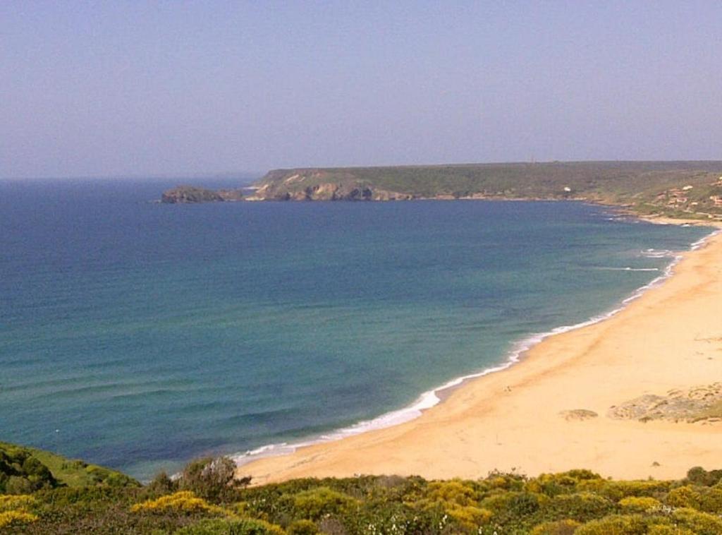 a view of a beach and the ocean at panato's home in Torre Dei Corsari