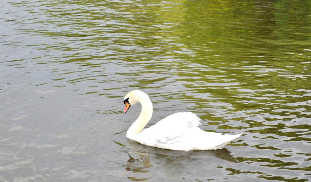 Tagungshotel Höchster Hof - Resim 43