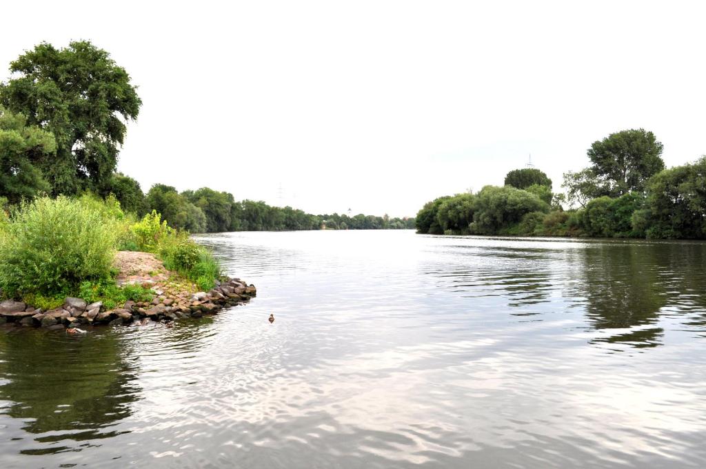 Tagungshotel Höchster Hof - Resim 39