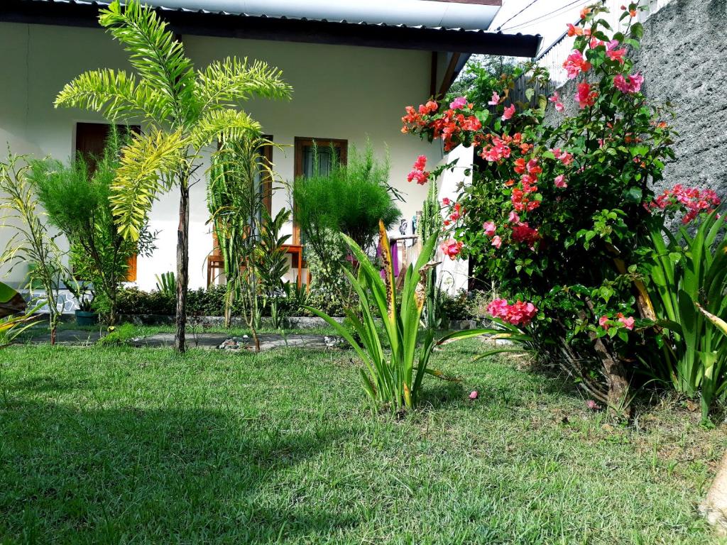 a garden in front of a house with flowers at Herry Homestay Kuta Lombok in Kuta Lombok