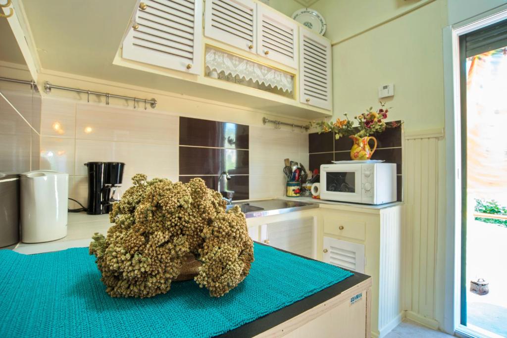 Kuchyň nebo kuchyňský kout v ubytování Alexandra Apartment