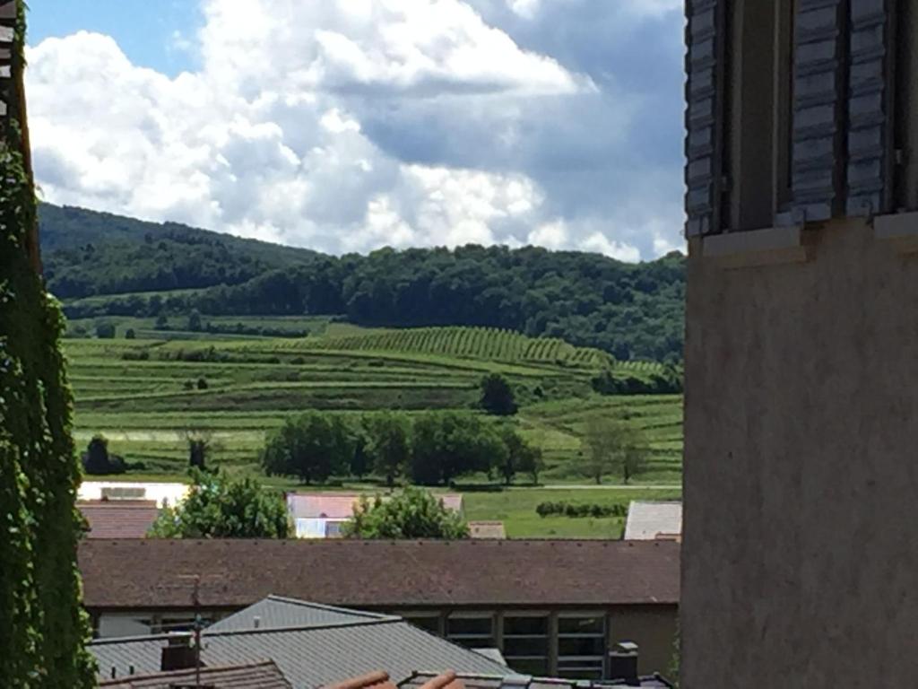 Blick auf ein grünes Feld von einem Gebäude aus in der Unterkunft Ferienwohnung Alte Schmiede in Vogtsburg