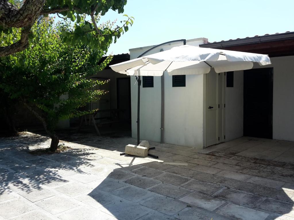 Agriturismo Vignavecchia - Estudio (2 Adultos)
