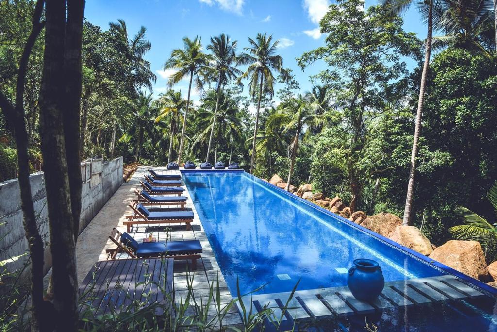 a swimming pool with lounge chairs and palm trees at Templeberg in Galle