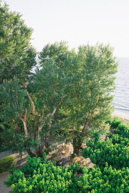 Tzaki hotel & restaurant Patras - Resim 29