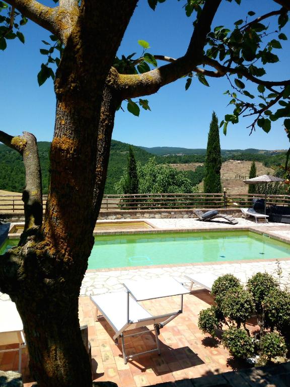 Bazén v ubytovaní Agriturismo Selvella alebo v jeho blízkosti