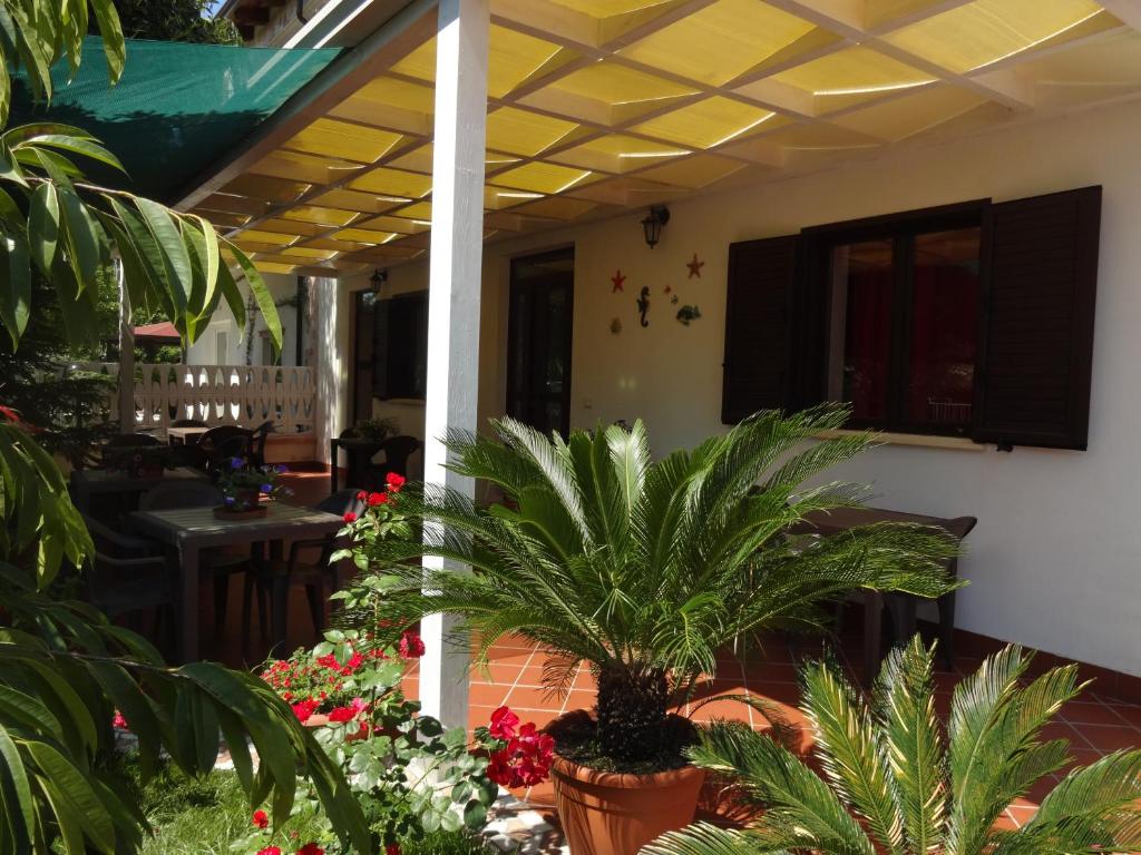 a patio with plants and flowers on a house at Il Vecchio Pescatore in Amendolara
