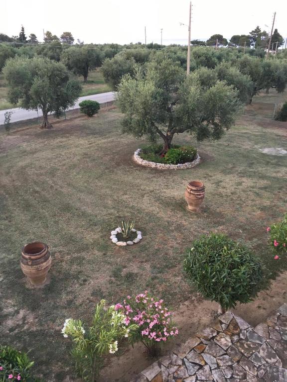 Vonkajšia záhrada v ubytovaní Dimaras Apartments