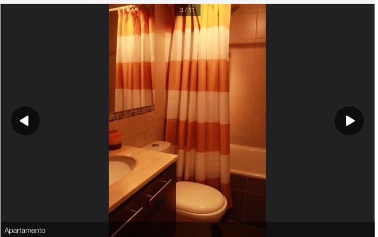 y baño con aseo y cortina de ducha. en Aparthotel Santiago Capital, en Santiago