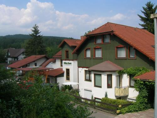 ein grünes und weißes Haus mit rotem Dach in der Unterkunft Südharz-Pension in Bad Sachsa