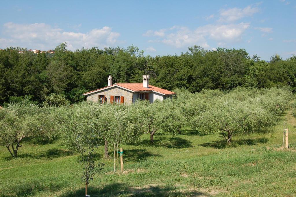 a house in the middle of a field with trees at OlivaHouse in Marezige