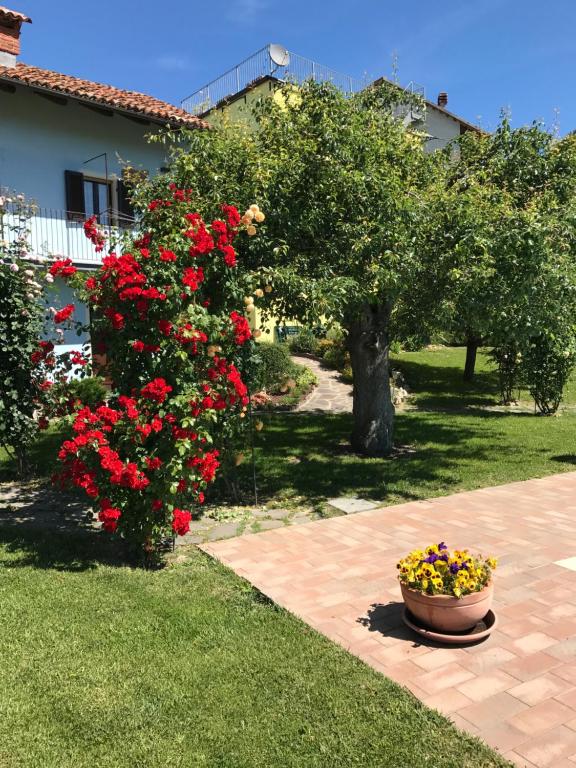 A garden outside Residence delle Rose