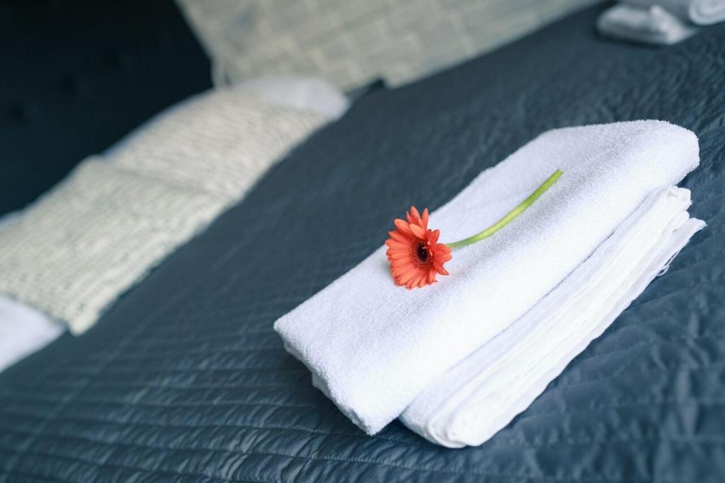 a red flower on a bed with white towels at Apartament Zeus in Zielona Góra