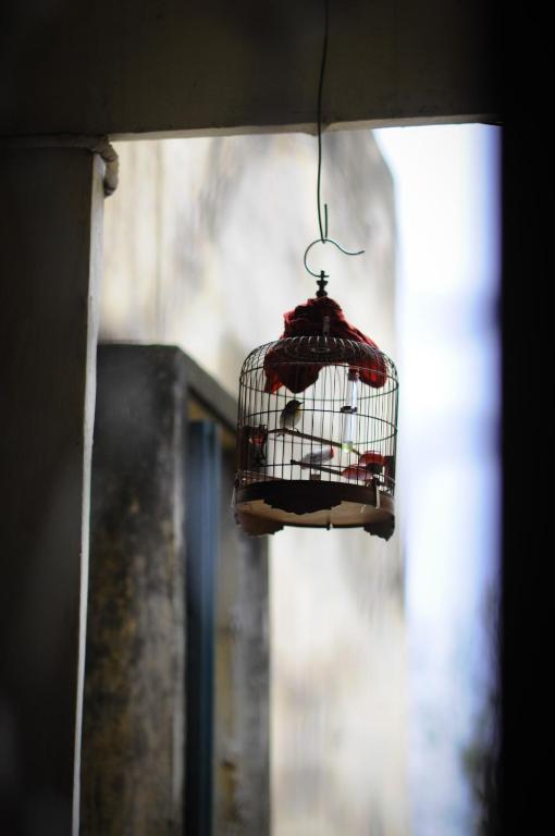Fotografie z fotogalerie ubytování Tuti Tong Dan Homestay v Hanoji