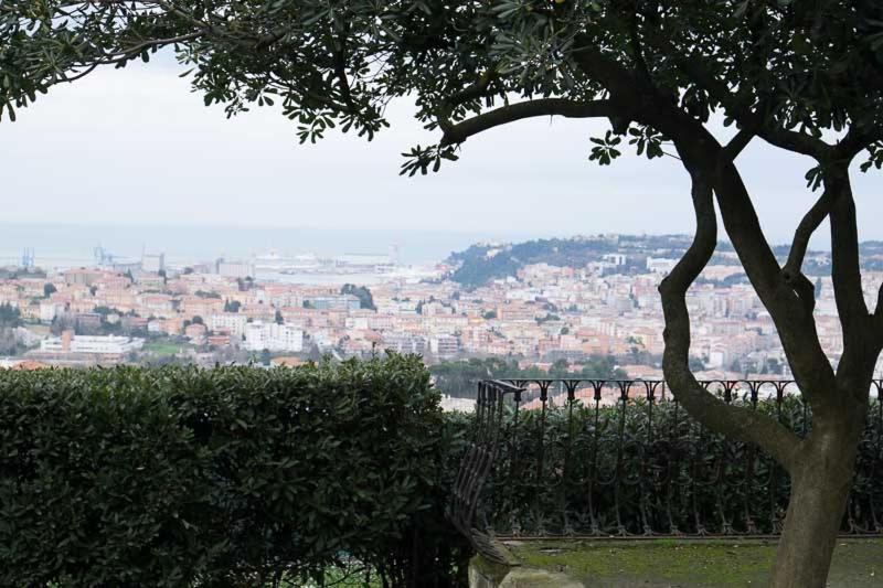 a view of a city from behind a tree at D'AGO48 in Ancona