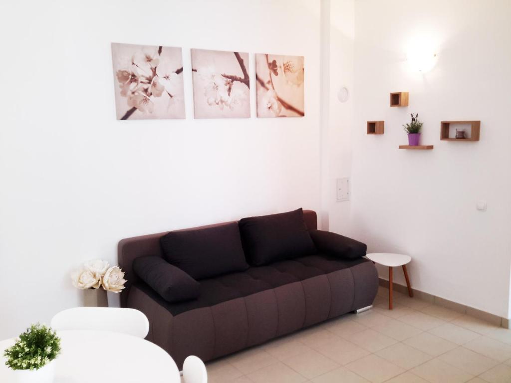 ein Wohnzimmer mit einem braunen Sofa in einem Zimmer in der Unterkunft Albert Home in Karlovac