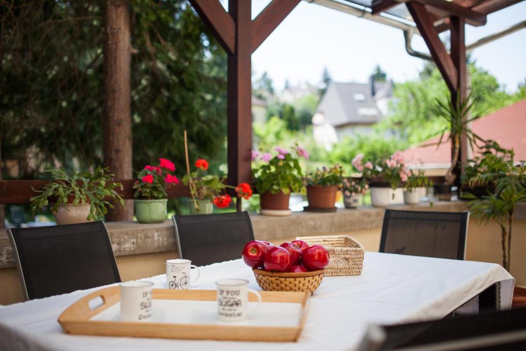 Zahrada ubytování Villa Cecile