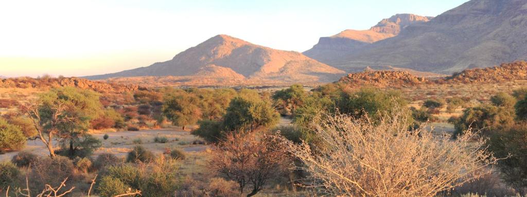 a view of a desert with mountains and trees at Hohenstein Lodge in Usakos