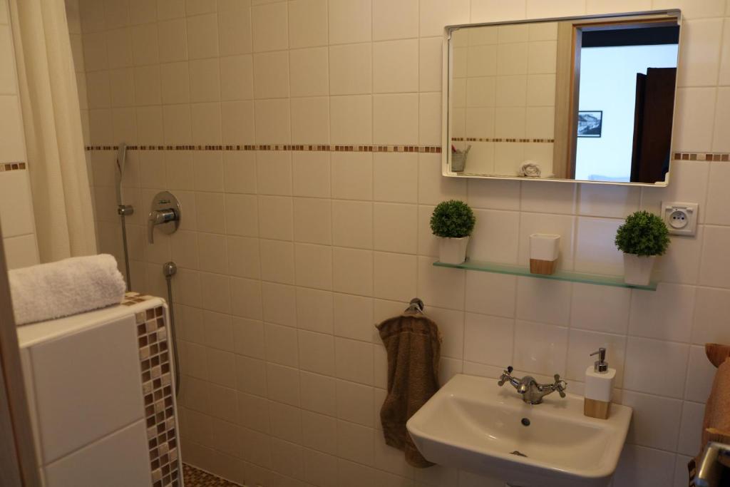 Apartmány u Bašty - 一居室公寓