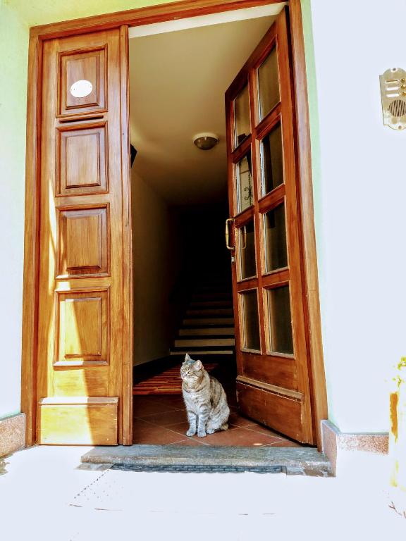 Domácí mazlíčci ubytovaní s hosty v ubytování B&B Le Fontane Fam. Degan