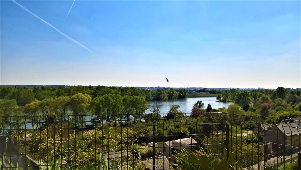 una vista su un fiume con un uccello che vola sopra di esso di Le Gite de la Loire a Rochecorbon