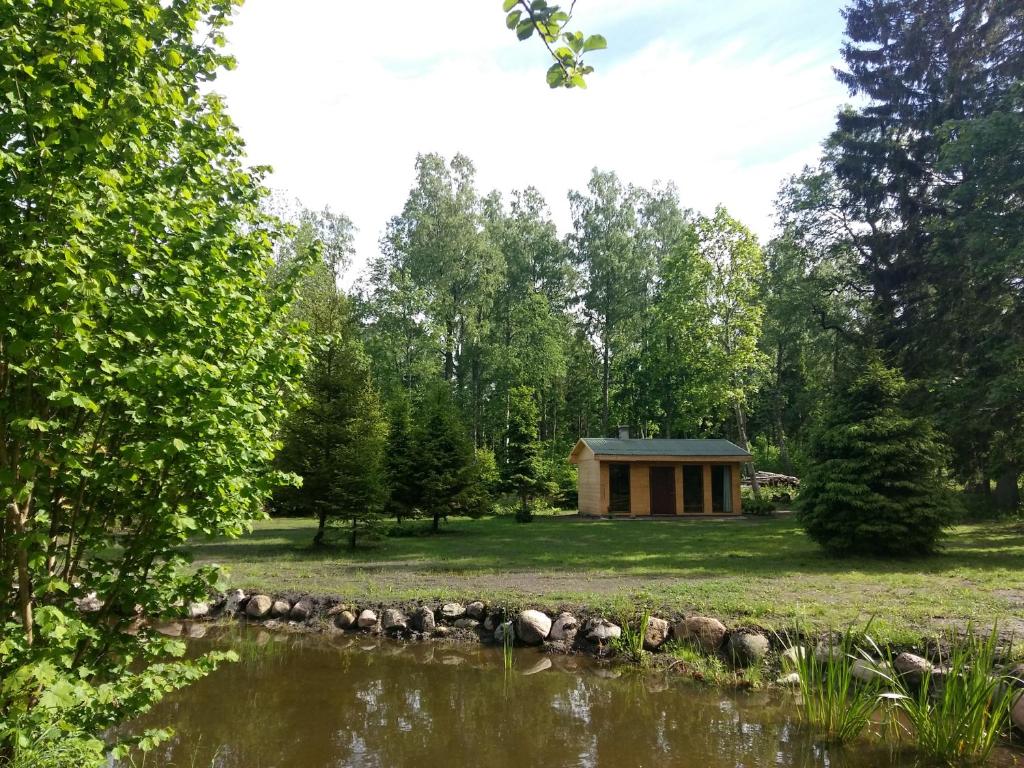 a cabin in the woods next to a pond at Brīvdienu māja "Raudiņi" in Kaltene