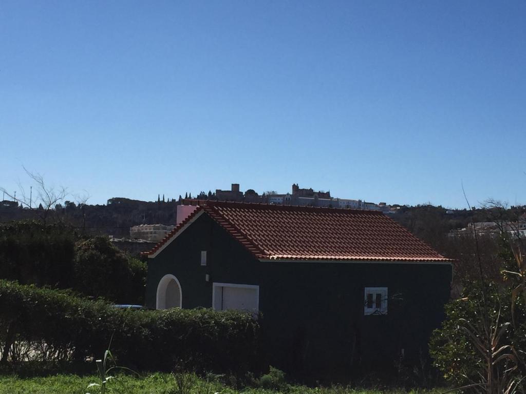 Horta dos Cedros - 3