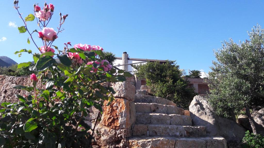 Zahrada ubytování Villa Treglia b&b