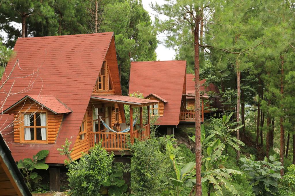 a house in the middle of a forest at Altares de Oxapampa in Oxapampa