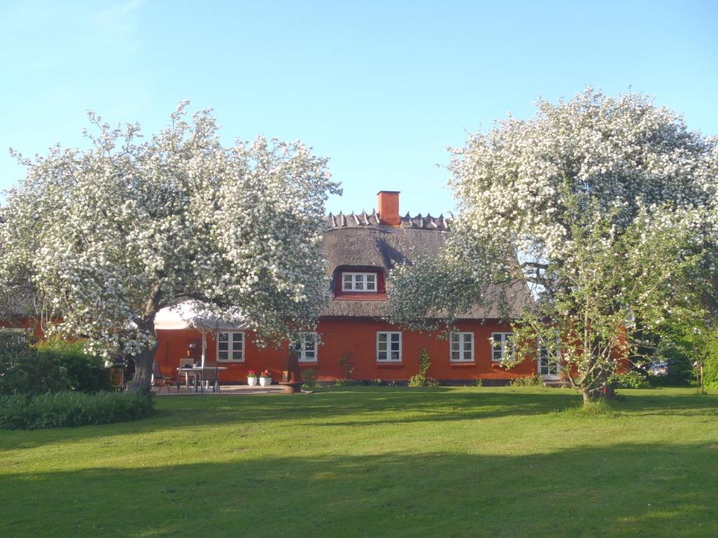 a house with a tree in front of it at SoegaardensBB in Stenløse