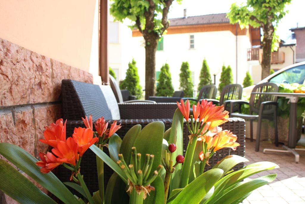 Zahrada ubytování Hotel Paganella