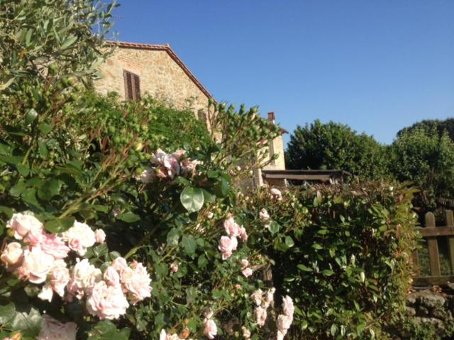 サン・バロントにあるCasa Vacanze "Sereno"の家の前のピンクの花束