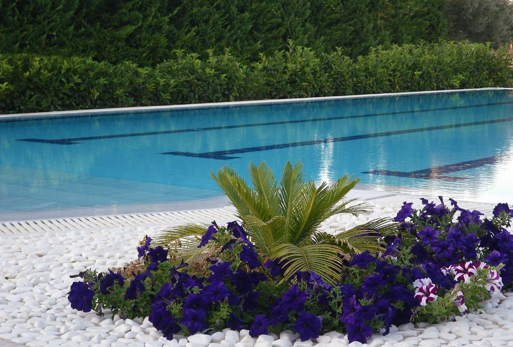 カラモスにあるCosmos Resortのスイミングプール前の花束