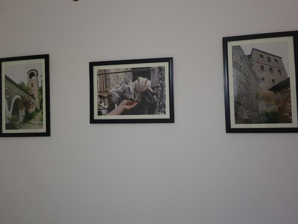 Fotografie z fotogalerie ubytování Ilir Guest House 1 v destinaci Përmet