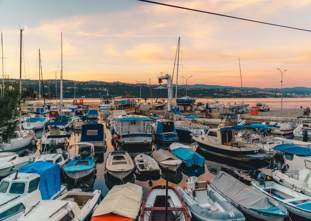 un grupo de barcos atracados en un puerto deportivo al atardecer en Apartments Lanča en Opatija