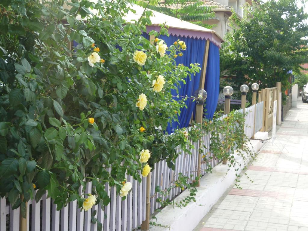 Zahrada ubytování Hotel Strajica