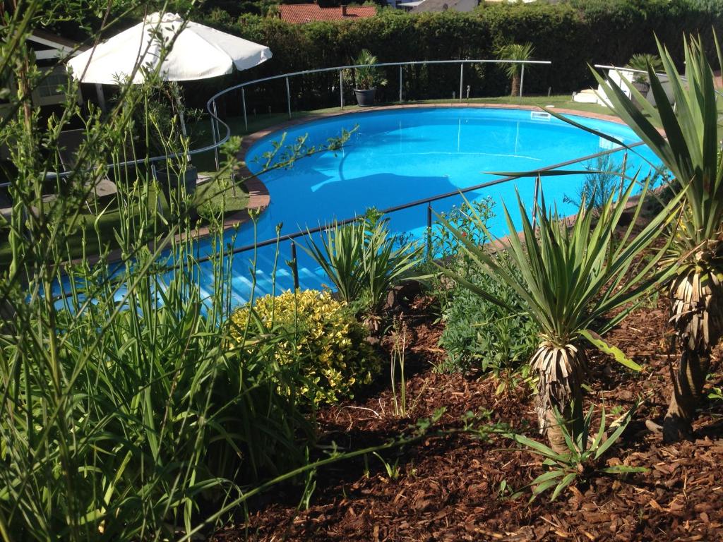 Bazén v ubytování Hotel Sonnenhof nebo v jeho okolí