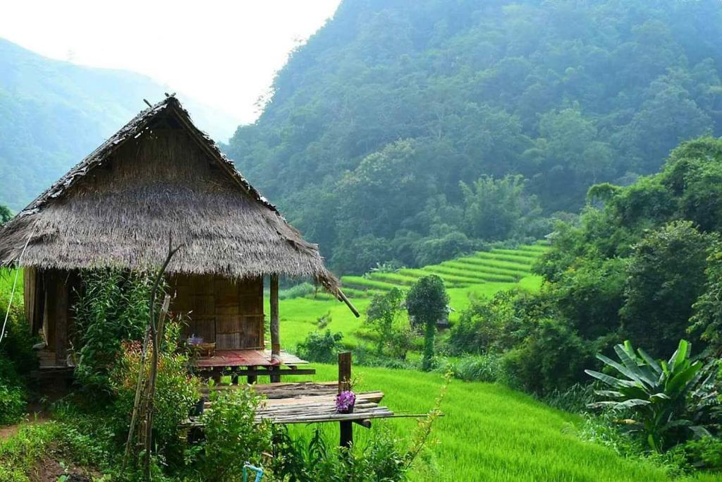 a small hut in a field with a mountain at KowitFarmstay in Ban Mae Pan Noi